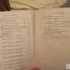 182644329_6875872a8053c8-31294300IMG_20250714_23.webp A Logarlec - Balogh Arthur