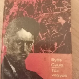 183081716_688bc4d477c499-29581444688bc482630f35-.webp Illyes Gyula - Tuz vagyok