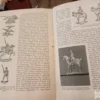 Durch die weite welt - jahrbuch fur natur-sport und technik