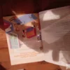 187262469_692889f40e54f9-11264817IMG_20251127_17.webp Matematika za 4 razred osnovne skole Vulkan