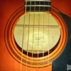 akusticna gitara FENDER DG 5 SB