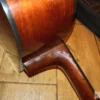akusticna gitara FENDER DG 5 SB
