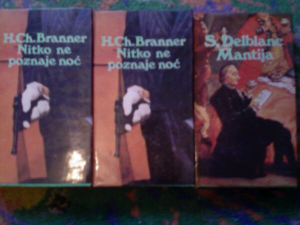 20892591_skandinavski.jpg skandinavski roman Branner i Delblanc
