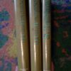 20892591_skandinavski-r.jpg skandinavski roman Branner i Delblanc