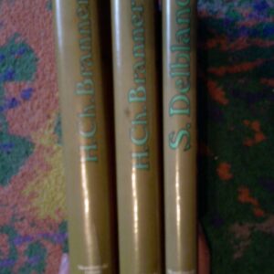 20892591_skandinavski-r.jpg skandinavski roman Branner i Delblanc