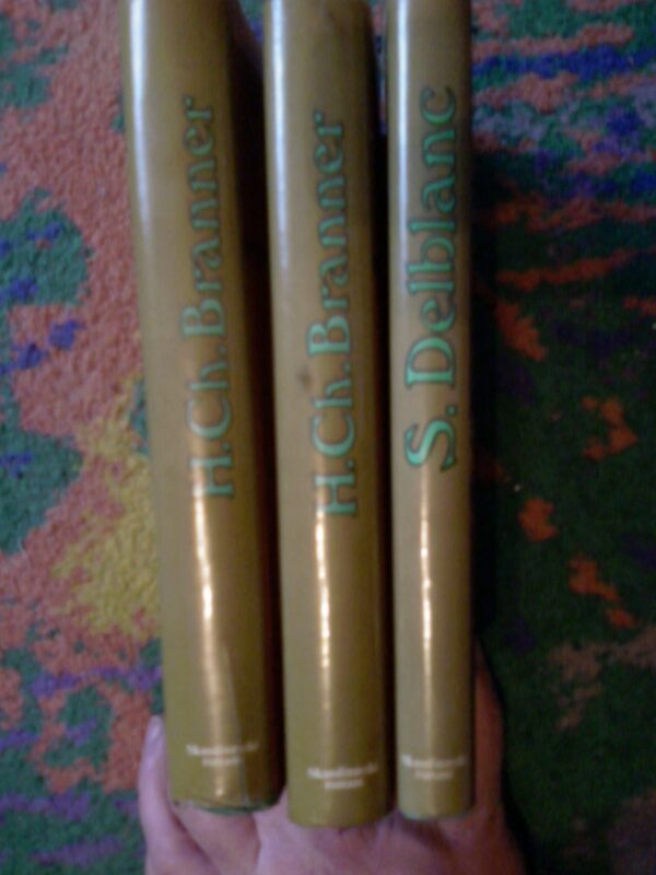 20892591_skandinavski-r.jpg skandinavski roman Branner i Delblanc