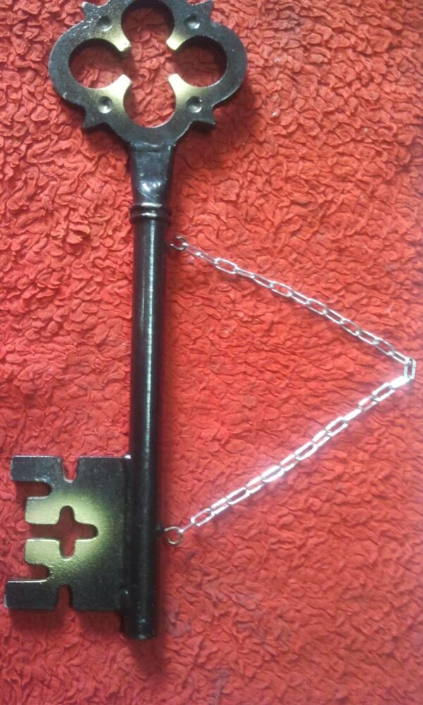 28007446_5660a9d3ceadd3-4302278220151203_134019-1-.jpg metalni kljuc