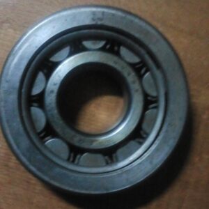 lezaj SKF  nu 407