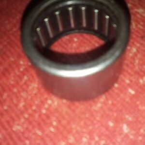 lezaj iglicasti  HK 25/20