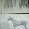 ATLAS uporedne anatomije  I i II B.SIMIC
