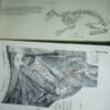 ATLAS uporedne anatomije  I i II B.SIMIC