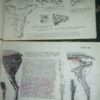ATLAS uporedne anatomije  I i II B.SIMIC