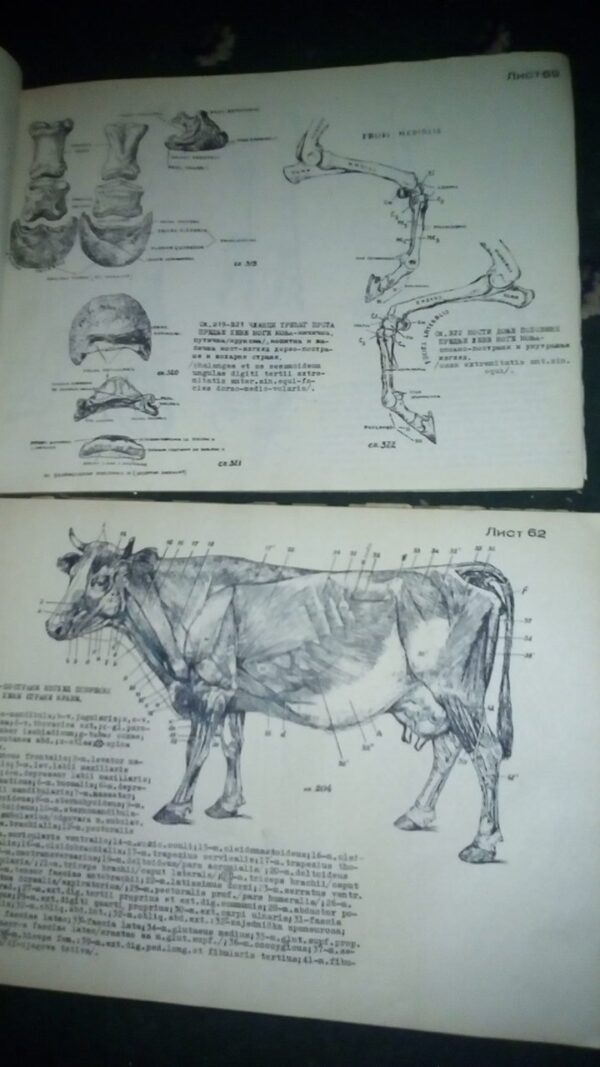 ATLAS uporedne anatomije  I i II B.SIMIC