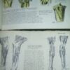 ATLAS uporedne anatomije  I i II B.SIMIC