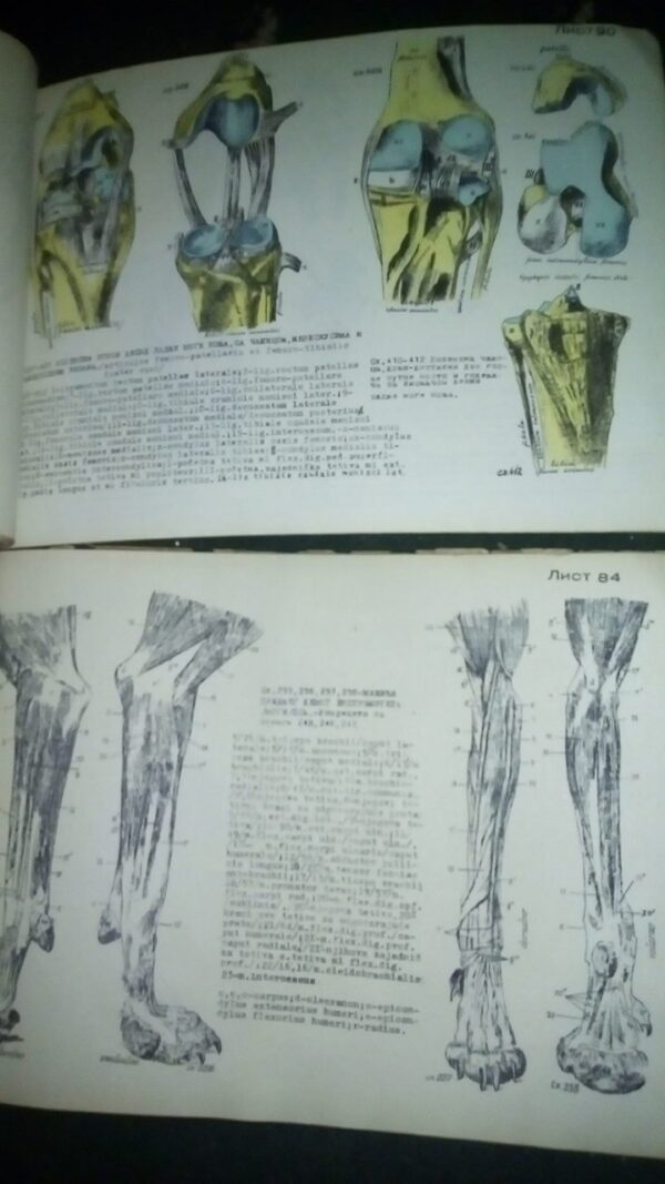 ATLAS uporedne anatomije  I i II B.SIMIC