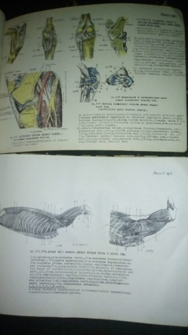 ATLAS uporedne anatomije  I i II B.SIMIC