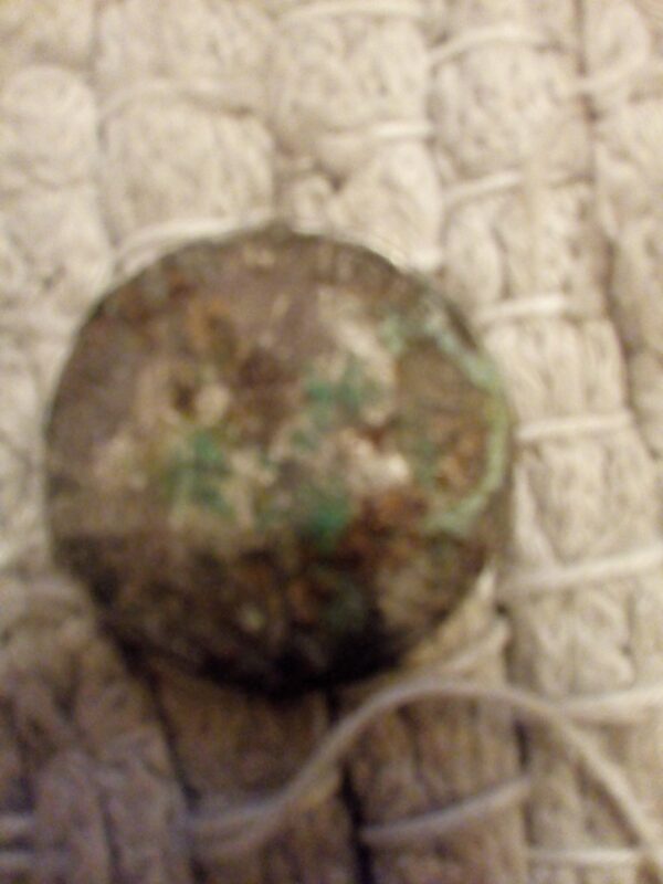 kovanica Austria 1 florin 1888