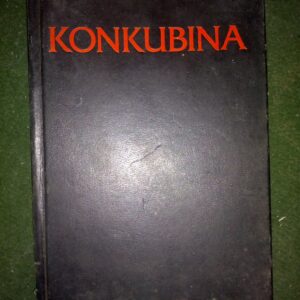 Eleči Amadi - KONKUBINA