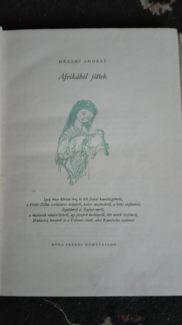 51181538_59ce38b65e4e15-19142361IMG_20170929_065856.jpg Dekany Andras Afrikabol Jottek