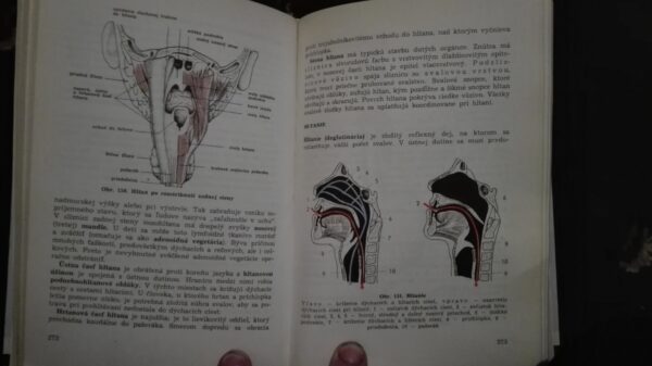53771754_5a2249eb704476-95217759IMG_20171201_182359.jpg Anatomia a fyziologia cloveka