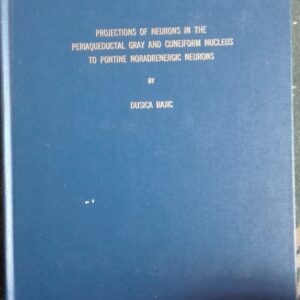 Dusica Bajic - Doktorat na engleskom