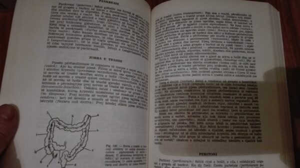 Anatomia Dhe Fiziologjia Me Praktikum