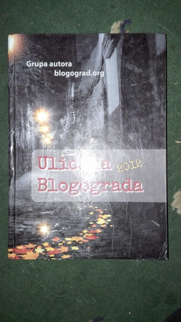 56032633_5a698925cb3b22-27820780IMG_20180124_211315.jpg Ulicama Blogograda 2012