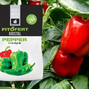 62450309_5b22d16bd99a49-32932668FitoFert-Kristal-PEPPER-11-7-334MgOME-600x564-1.jpg FitoFert Kristal PEPPER 11:7:33+4MgO+ME