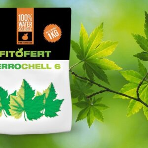 Fitofert FERRO CHELL 6