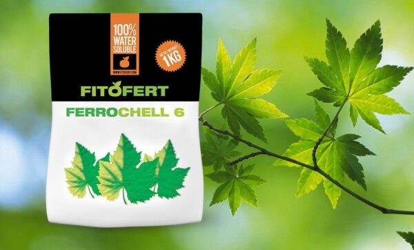 62563867_5b268b4282cab8-65198444FERRO-CHELL-6-FITOFERT.jpg Fitofert FERRO CHELL 6