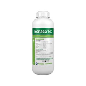 Bonaca EC