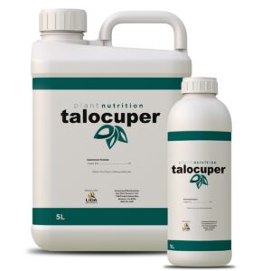 Talocuper