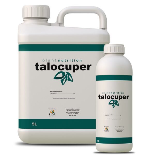 Talocuper