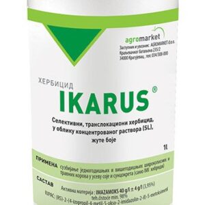 Ikarus  i ikarus duo