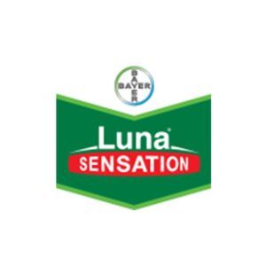 LUNA Sensation 100 ml i  1 l