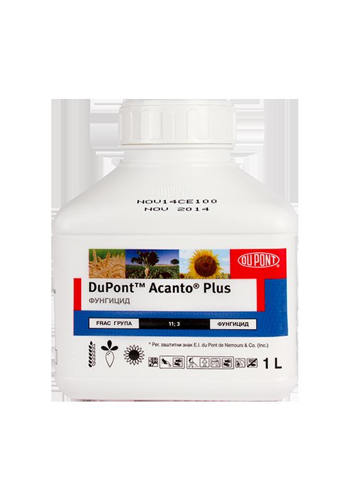ACANTO plus