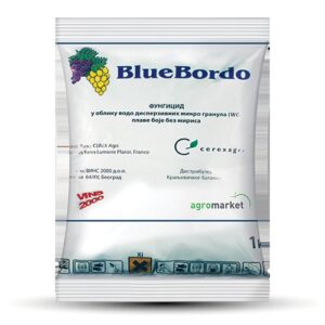 BLUE Bordo WDG