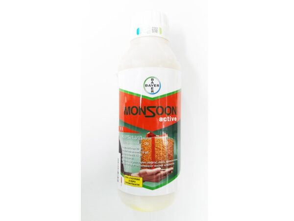MONSOON active
