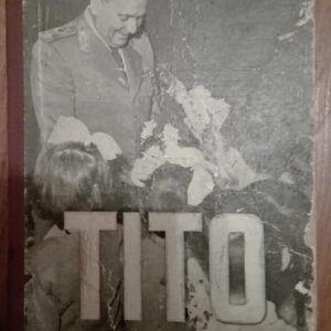 Hisilicon Balong Tito - France Bevk
