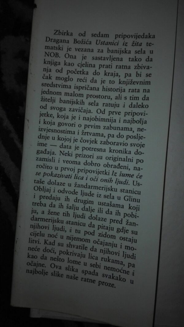Ustanici Iz Zita - Dragan Bozic