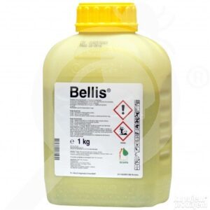 Bellis 1 litar