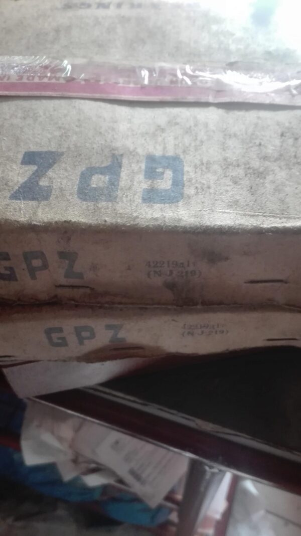 Lezaj GPZ NJ 219