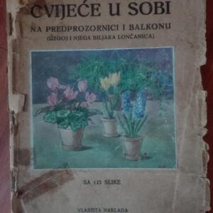 77621757_5cd31c003fe599-26334059IMG_20190508_18.jpg Cvece u Sobi - S. Pirinat