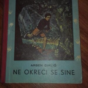 79646048_5d0aa097a59312-27936962IMG_20190619_21.jpg Ne Okreci se Sine - Arsen Diklic