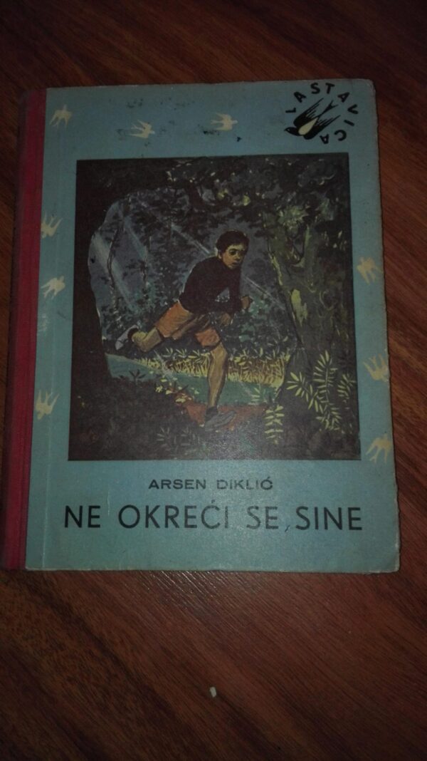 79646048_5d0aa097a59312-27936962IMG_20190619_21.jpg Ne Okreci se Sine - Arsen Diklic