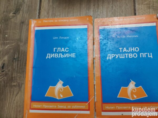 83089391_6392662aa0a216-40223951IMG_20221207_21.jpg Lektira za sesti razred osnovne skole