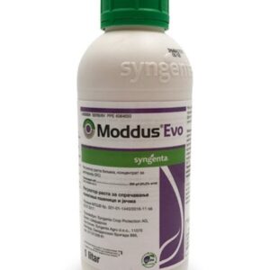 regulator rasta MODDUS EVO 1L