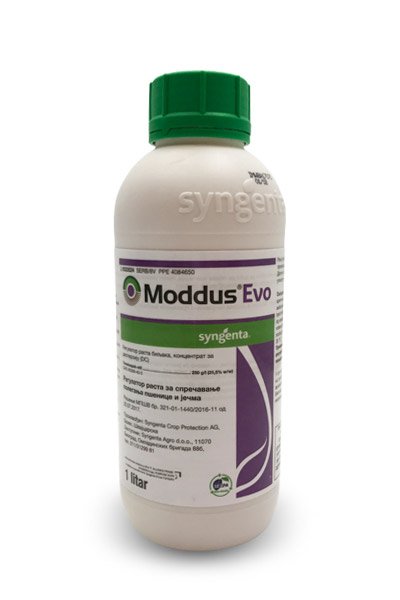 90555914_5e3db970d919d7-259060495d12b0bb71cdb.jpg regulator rasta MODDUS EVO 1L