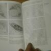 93534874_5e8ebcdad2ee80-19686137IMG_20200407_22.jpg Articular cartilage and Osteoarthrosis