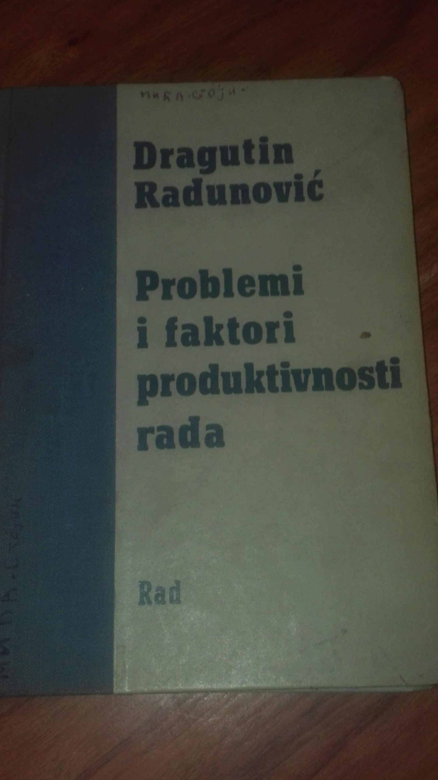 Problemi i Faktori Produktivnosti Rada - Princ Shop